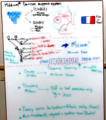 Whiteboard filled with chemical formulas