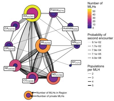 Image showing different population diversities in cells